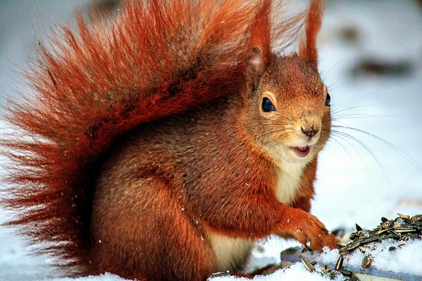 Pamācība mīlēscaronanā Vaņa... Autors: Zibenzellis69 Neliela humora deva nekad nenāk par ļaunu – īsie joki katrai dienai 👍 👏