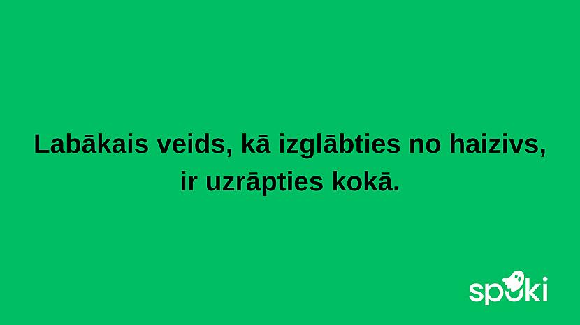  Autors: The Diāna Jociņu izlase garastāvokļa uzlabošanai (17 attēli)