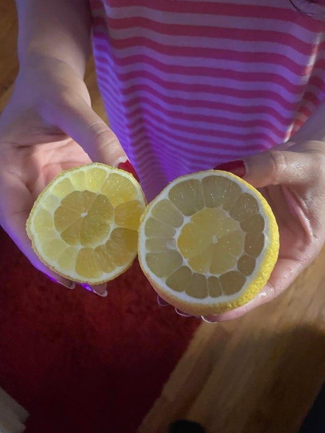 Citrons citronā Autors: Zibenzellis69 Fotogrāfiju izlase, kuras var raksturot ar vārdiem: “Ko tādu bieži neredzēsi”