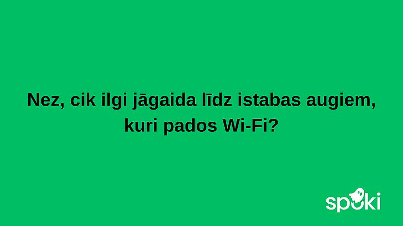  Autors: The Diāna Jociņu izlase garastāvokļa uzlabošanai (17 attēli)