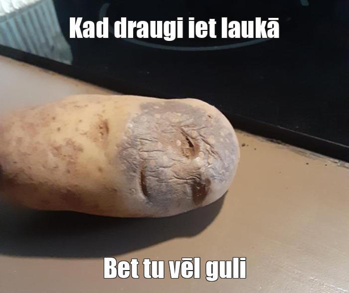  Autors: Big EDUARDS Memes