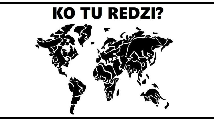 Apskaties - pirmais dzīvnieks, ko ieraugi, atklās, kas tevi visvairāk kaitina