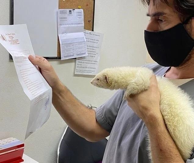 Ko viņi raksta Autors: Zibenzellis69 Pūkaini un nedaudz smieklīgi, bet mīļi  pacienti no veterinārārstu dzīves ❤️​