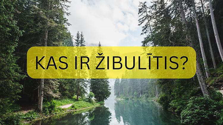 Tests: Augs vai dzīvnieks? Kas tas ir?