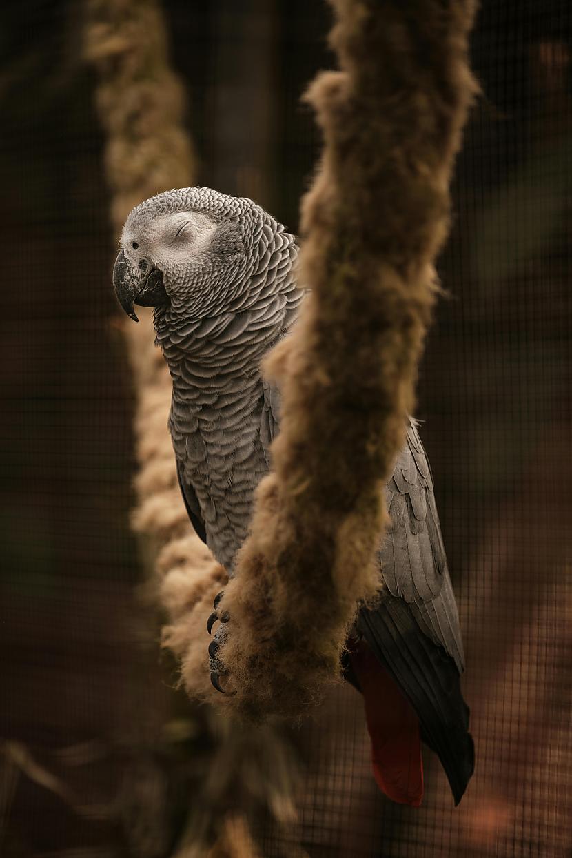 Pie ārsta Jūs izskatāties... Autors: Zibenzellis69 😄​ ​​​Neliela humora deva nekad nenāk par ļaunu – īsie joki šai dienai 🤣