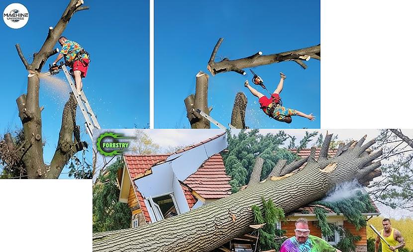 Idiots With Chainsaws: Tree Cutting Fails | Extreme Dangerous Logging ...