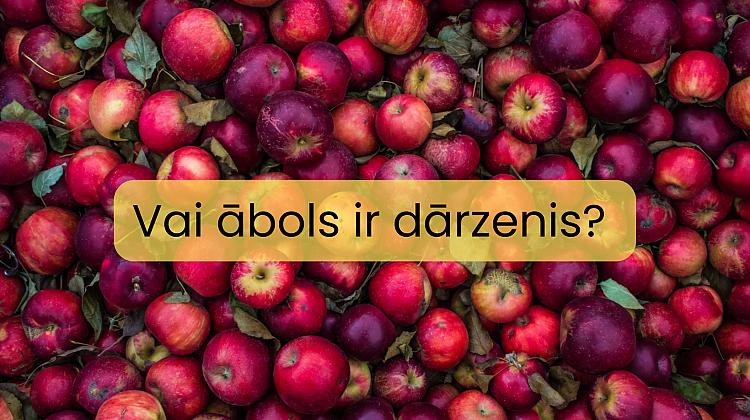 Tests: Vai vari atbildēt uz šiem 10 zinātnes jautājumiem? - Spoki